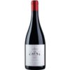 Im Itata Valley baut die Familie Torres die alte Sorte Cinsault an und gewinnt daraus diesen intensiv fruchtigen