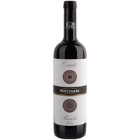 Der Pio Cesare Barolo Ornato 2019 zeigt sich in einem tiefen Granat- oder Rubinrot. Im Bouquet fusionieren Aromen von Kirschen