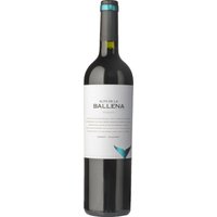 Im Schatten des malerischen Montevideo