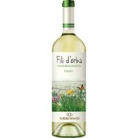 In den biologisch bewirtschafteten Weinbergen der apulischen Vorzeigekellerei Cantine Torrevento entsteht im Rahmen der Serie Fili d' Erba auch dieser herrlich seidige und saftige Fiano. Der Fiano ist eine weiße Sorte des Mezzogiorno
