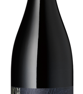 Montepulciano- und Sangiovese-Trauben aus besten Lagen