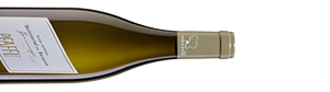 dass Grüner Veltliner in die Riege großer