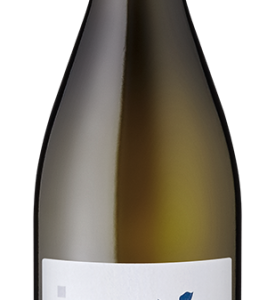 Ein Chardonnay vom Terroir-Experten Georg Fogt