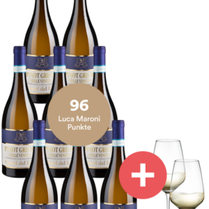 8er-Paket Pinot Grigio C. Lago