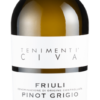 Die typische Charakteristik eines Pinot Grigio kommt in diesem frischen und fruchtigen Weißwein aus dem norditalienischen Friaul perfekt zum Ausdruck.