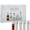Gin Tasting Box Premium