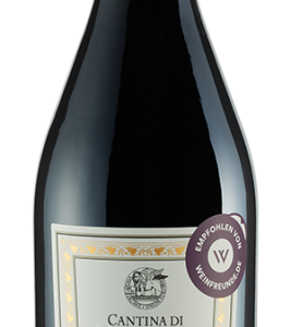 Das Appassimento-Verfahren macht auch diesen Amarone zu dem