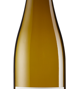 Ein Terroir-Riesling von Kritikerliebling Georg Fogt in Rheinhessen. Mineralisch-salzig