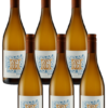 6er Paket Spargelwein 2024