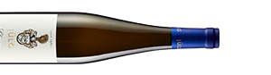 puristisch und präzise – ein Riesling Ortswein von Johannes Jülg