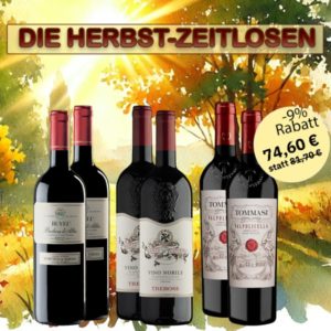 Alternative view of Vinolisa Selezione Herbst-Zeitlose: die Herbstklassiker in einem Paket