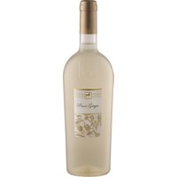 Der Ulisse Pinot Grigio Premium 2023 aus den Abruzzen offenbart in jedem Schluck die Reichtümer Italiens. Dieser Weißwein von Tenuta Ulisse zeichnet sich durch ein beeindruckend vielschichtiges Aromaprofil aus: Fruchtige Noten von Aprikose und anderen Steinfrüchten vereinen sich mit subtilen Anzeichen der Traubenreife. Am Gaumen bietet der Wein eine strukturierte und dichte Beschaffenheit