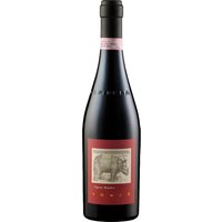 Der Starderi Barbaresco 2021 von La Spinetta Giorgio Rivetti zeigt eine beeindruckende blassrubinrote Farbe und bietet ein aromatisches Erlebnis mit reifen roten Früchten sowie Noten von Zimt und Graphit. Diese Aromenvielfalt setzt sich am Gaumen mit einer frischen und eleganten Struktur fort