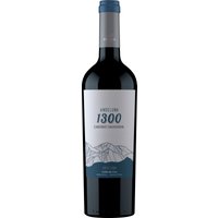 Der Andeluna Cellars Cabernet Sauvignon 1300 bietet dank seiner Herkunft aus Valle de Uco in Mendoza