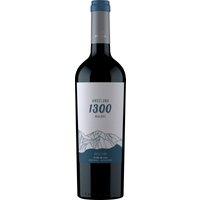 Der Andeluna Cellars Malbec 1300 aus dem Valle de Uco in Mendoza