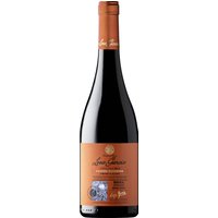 Mit einer leuchtend kirschroten Farbe und rubinroten Rändern zieht der Leza Garcia Edición Garnacha Crianza Jahrgang 2021 die Blicke auf sich. Die Aromen von reifen schwarzen Früchten und florale Noten der Garnacha werden von feinen Nuancen von Vanille und Eichenholz untermalt. Eine vollmundige und gut strukturierte Komposition