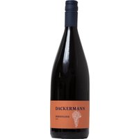 Der Dackermann Dornfelder Mild 2022 aus Rheinhessen überzeugt auf ganzer Linie. Schon in der Nase entfalten sich fruchtige Kirsch- und Erdbeeraromen