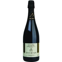 Der Tenuta Roveglia Spumante Lugana Brut aus dem Lugana-Gebiet südlich des Gardasees strahlt intensiv goldgelb und imponiert mit einer kräftigen