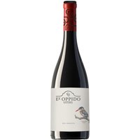 Der WO Constantia Uitsig Ex Oppido Red Horizon ist ein klassischer Shiraz