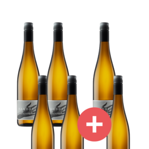 4+2 Gewürztraminer Paket