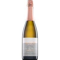 Zwölf Monate reift dieser Blanc de Blancs aus Grüner Veltliner mithilfe klassischer Flaschengärung auf der Hefe. Im Glas präsentiert sich der österreichische Schaumwein mit einer feinen Perlage