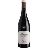 Der Merlot di Casa Venezia Giulia 2022 präsentiert sich in einem leuchtenden Purpurrot. In die Nase steigen Nuancen von dunklen Früchten wie Kirschen und Pflaumen
