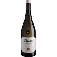 Der Eugenio Collavini Sauvignon Blanc Blancfumat Collio DOC Jahrgang 2023 erfreut bereits beim Anblick mit seinem strahlenden Blassgelb und den grünen Glanzlichtern. Die Aromen