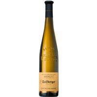 Der Wolfberger Gewürztraminer Hengst Grand Cru 2018 zeigt sich im Glas in intensivem Gelb mit goldenen Reflexen und offenbart eine Duftvielfalt von tropischen Früchten