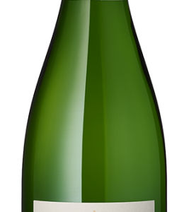 Blanquette ist ein Synonym für die Rebsorte Mauzac – in der Appellation Limoux seit Jahrhunderten Garant für hochklassige Schaumweine mit eigenem Charakter.