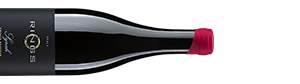 Alternative view of Syrah Große Réserve Bio (2018) - Rings - Rotwein aus der Pfalz, Deutschland