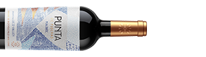 Alternative view of Flechas de los Andes Punta Malbec (2022) - Flechas de Los Andes (Edmond de Rothschild) - Rotwein aus Argentinien