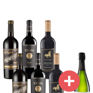 6er Festtagspaket + Champagner
