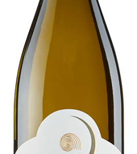 Ein Premier Cru Chablis aus steiler Lage mit kargen Böden