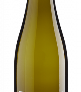 Ein Wein mit so einem Spruch auf dem Etikett muss gut sein. Hinter der ernsten Message verbirgt sich ein erstaunlich frisch-fröhlicher Sauvignon Blanc.