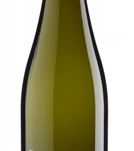 Ein rassiger Riesling ohne Schnickschnack. Geradeaus und direkt