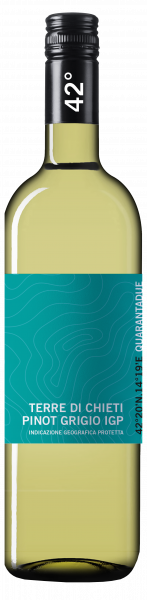 Quarantadue - by Cantina Tollo Pinot Grigio IGP 2023 – Bild 2
