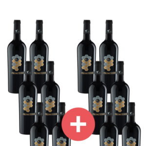 12er Primitivo Torre Quadris