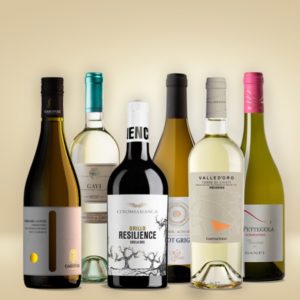 Alternative view of Vinolisa Selezione Weißwein-Expedition durch Italien