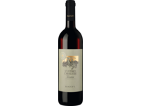 L'Ultimo Cavaliere Rosso 2019