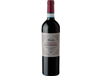 Riondo Valpolicella Superiore 2019