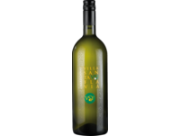 Villa Santa Flavia Chardonnay