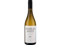 Bro' Trebbiano 2020