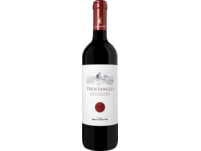Trentangeli Rosso 2019