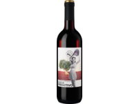 Terra & Vitigno Primitivo 2022