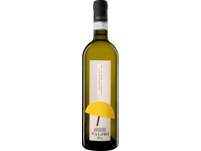 Valori Pecorino 2022