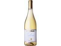 Solui Secco Bianco 2022