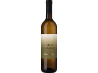 Hortus Durandi Chardonnay 2022
