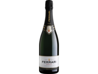 Ferrari Brut Trendodoc 2017
