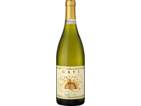 Aurora Gavi 2023