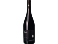 Kurtatsch Merlot - Cabernet Curtis 2022